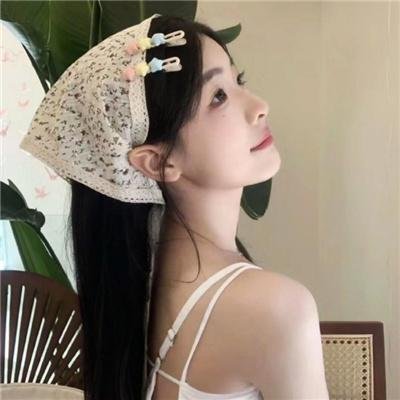 盗影谜情